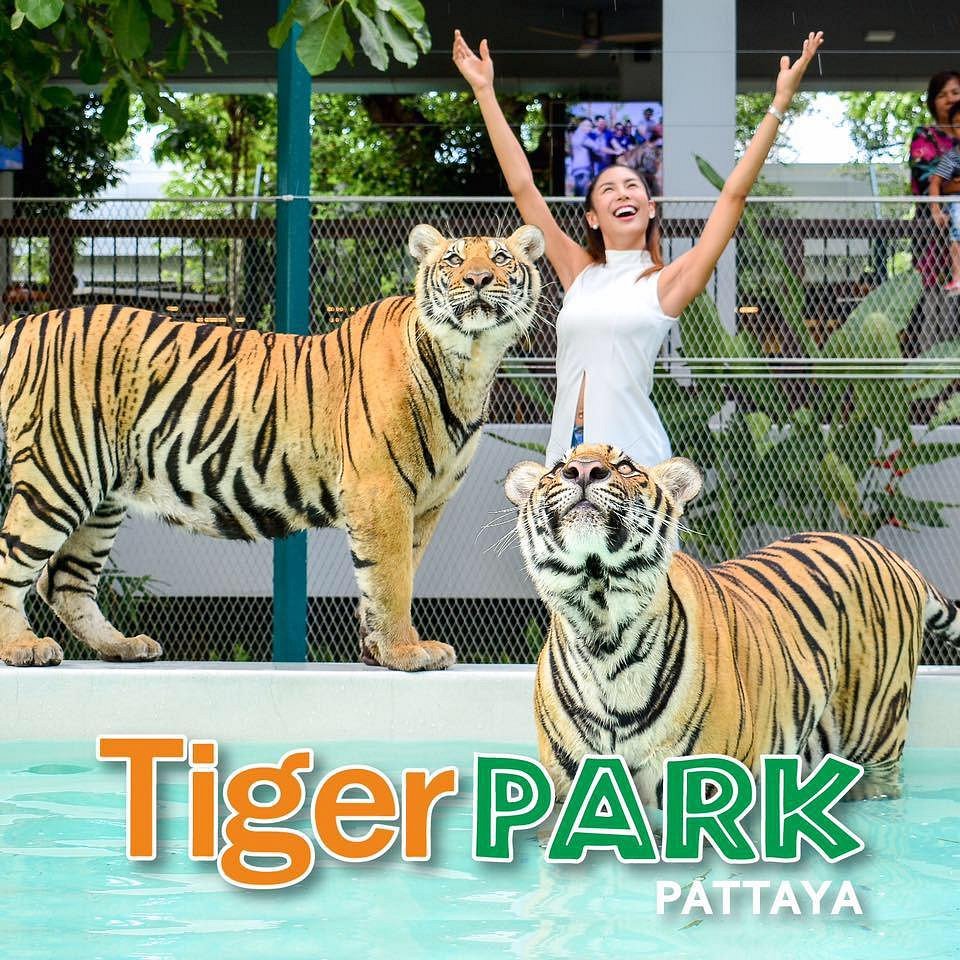 Pattaya Itinerary Package